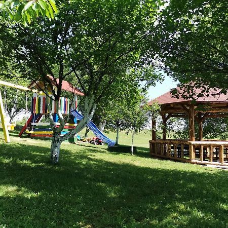 Apartments Tratincica Selište Drežničko Extérieur photo