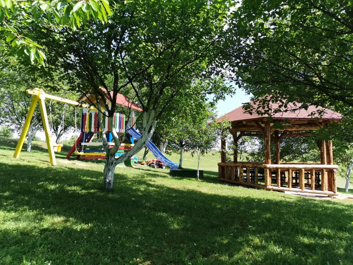 Apartments Tratincica Selište Drežničko Extérieur photo