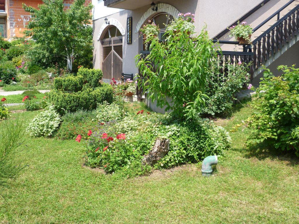 Apartments Tratincica Selište Drežničko Extérieur photo