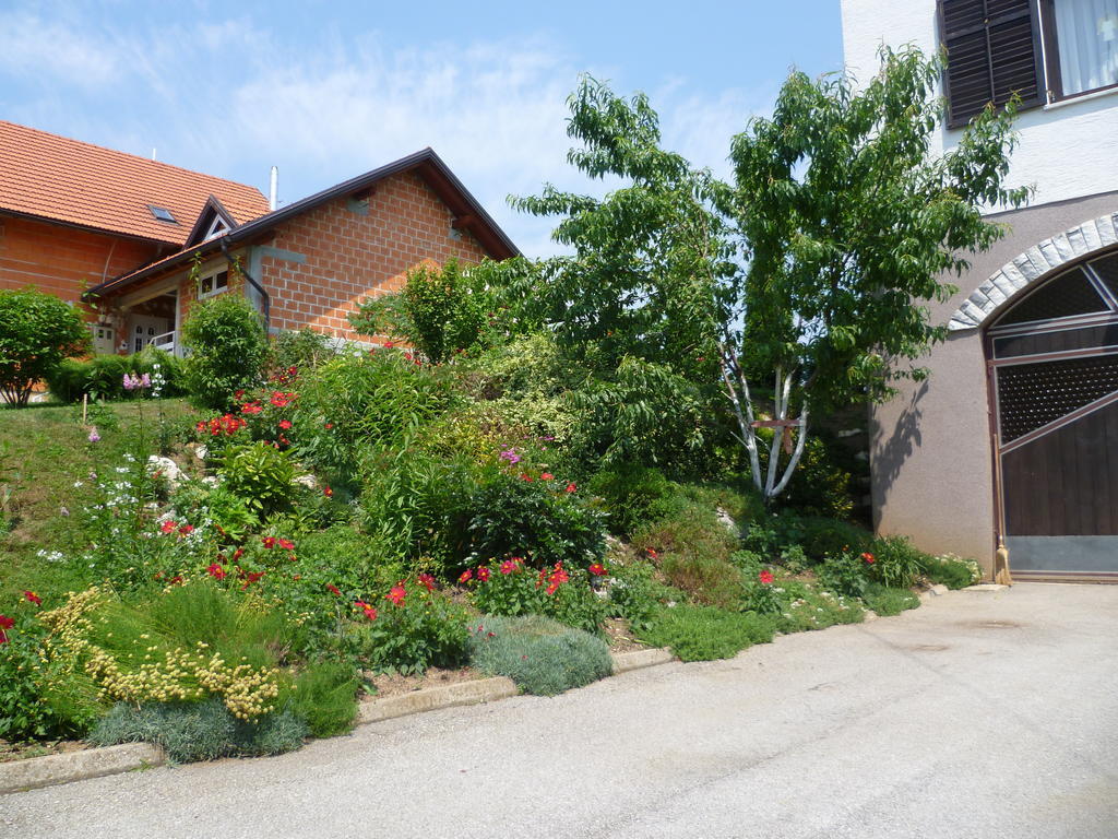 Apartments Tratincica Selište Drežničko Extérieur photo