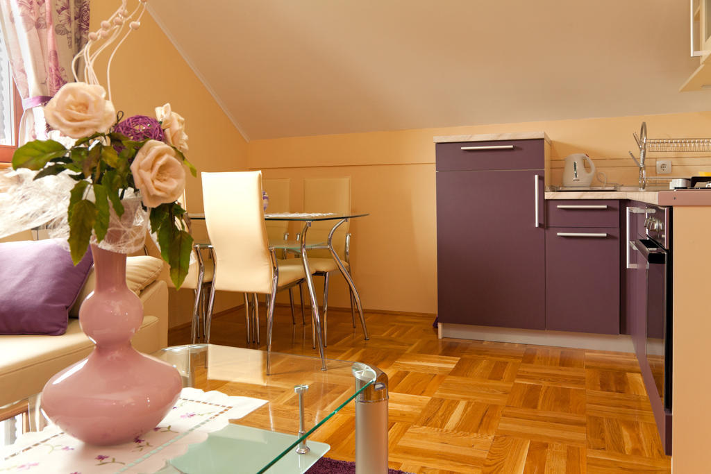 Apartments Tratincica Selište Drežničko Chambre photo