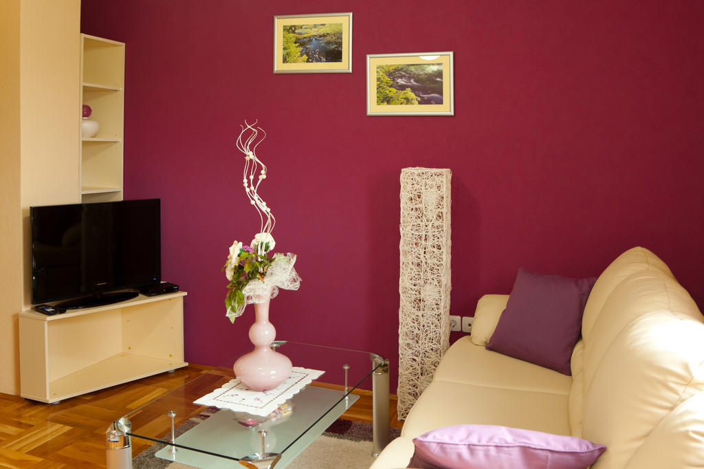 Apartments Tratincica Selište Drežničko Chambre photo