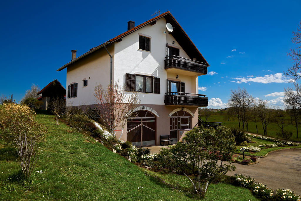 Apartments Tratincica Selište Drežničko Extérieur photo