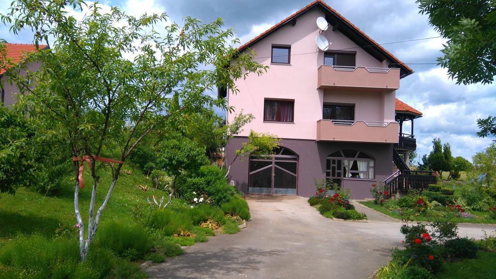 Apartments Tratincica Selište Drežničko Extérieur photo