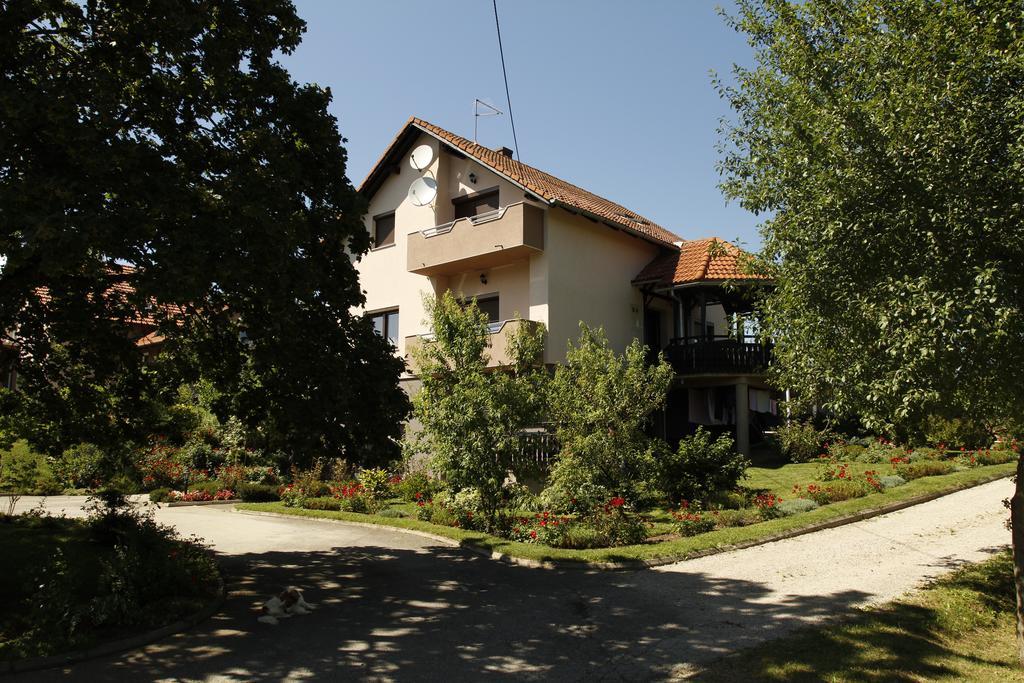 Apartments Tratincica Selište Drežničko Extérieur photo