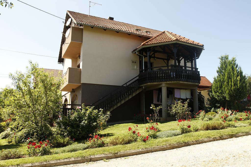 Apartments Tratincica Selište Drežničko Extérieur photo