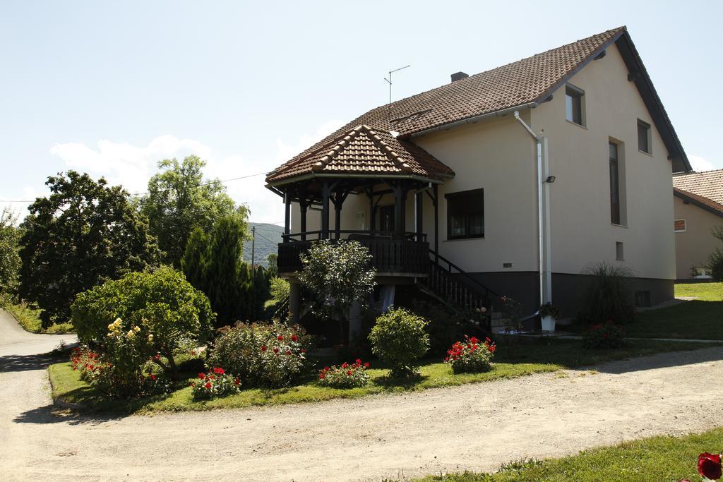 Apartments Tratincica Selište Drežničko Extérieur photo